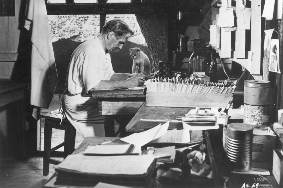 Albert Schweitzer in seinem Büro in Lambaréné.