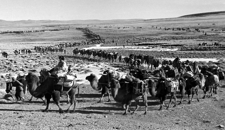 Kamelkarawane der chinesischen Volksbefreiungsarmee bei der Invasion des Qinghai-Plateaus in Tibet 1950. 