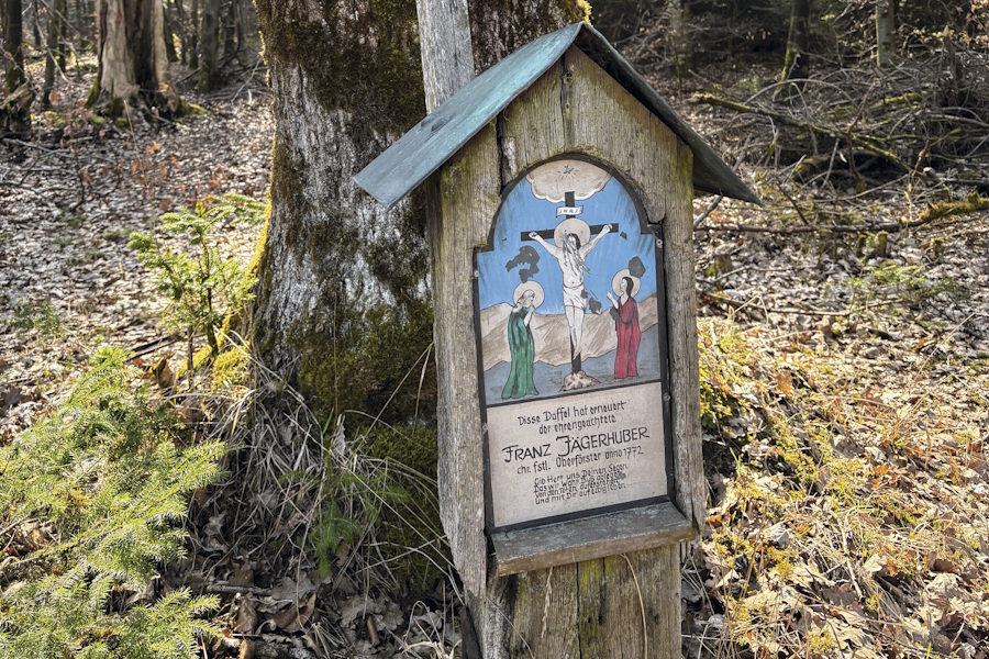 Die Grüne Marter im Forstenrieder Park südlich von München.