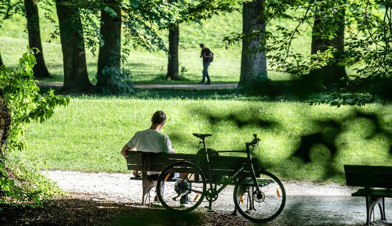 Egal ob als Allee oder im Park: Stadtbäume sind wichtig.