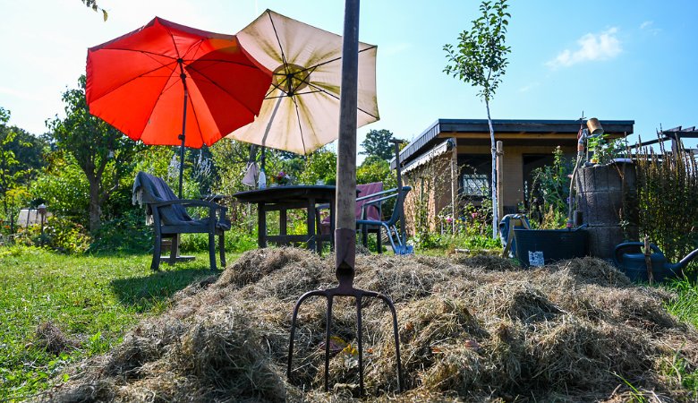 Sogar ein gemeinsam gepflegter Garten kann schon ein Ort sein, um den demokratischen Austausch lebendig zu halten.
