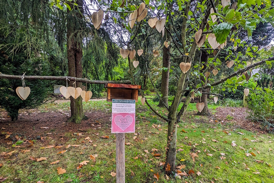 Der Gute-Gedanken-Baum auf dem Friedhof Lauenburg.