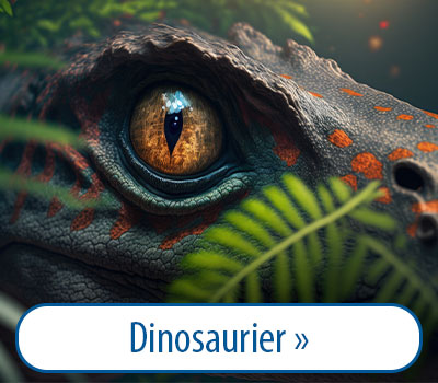 Hier geht es zu Unseren Empfehlungen Dinosaurier Bücher