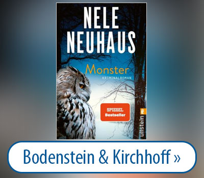 Zur Reihe Bodenstein und Kirchhoff