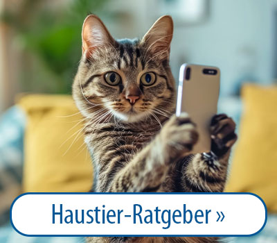 Hier geht es zu Haustier-Ratgeber