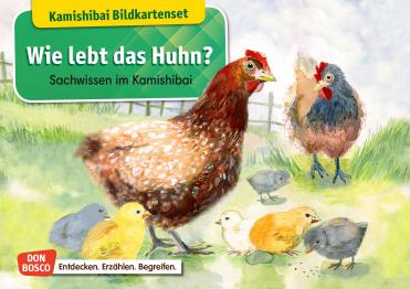 Wie lebt das Huhn? Kamishibai Bildkartenset