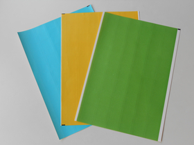 Rückenschilder SKB-E blau (VPE 5 Bögen)