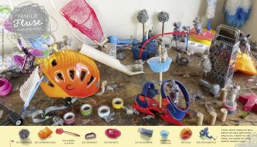 Gecko Kinderzeitschrift Band 95