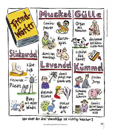 Gecko Kinderzeitschrift Band 95